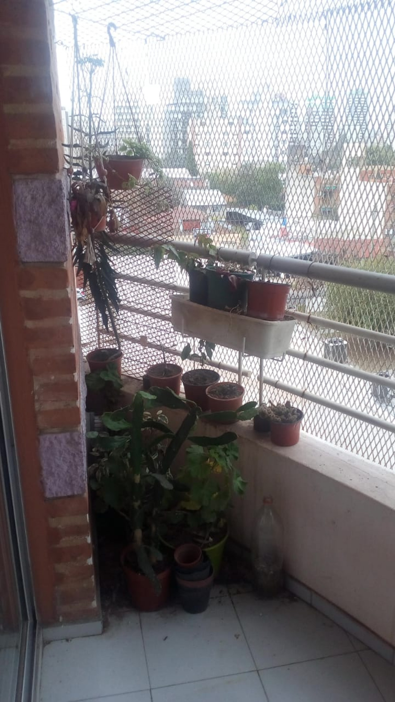 balcon